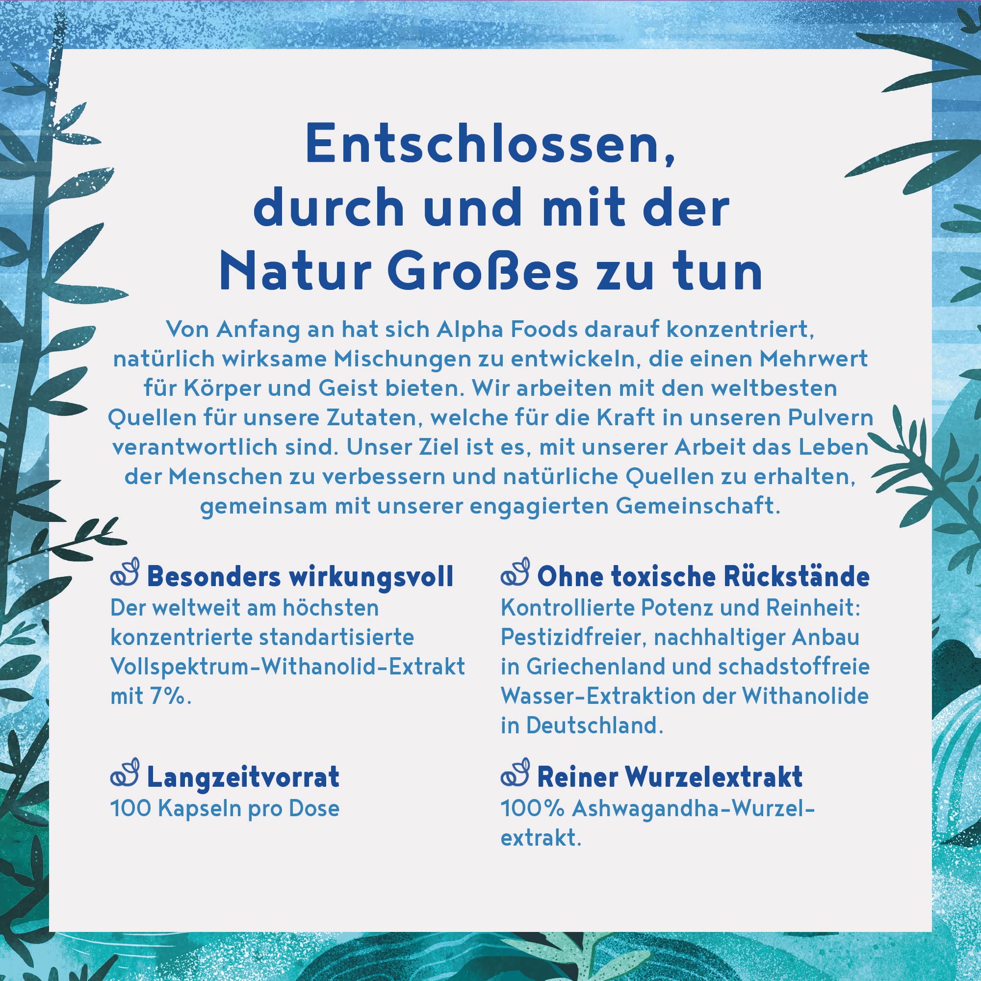 Ashwagandha Kapseln hochdosiert - 500mg Ashwagandha Extrakt pro Tagesdosis mit 35mg Withanolide - indische Schlaf Beere - 100 vegane Kapseln