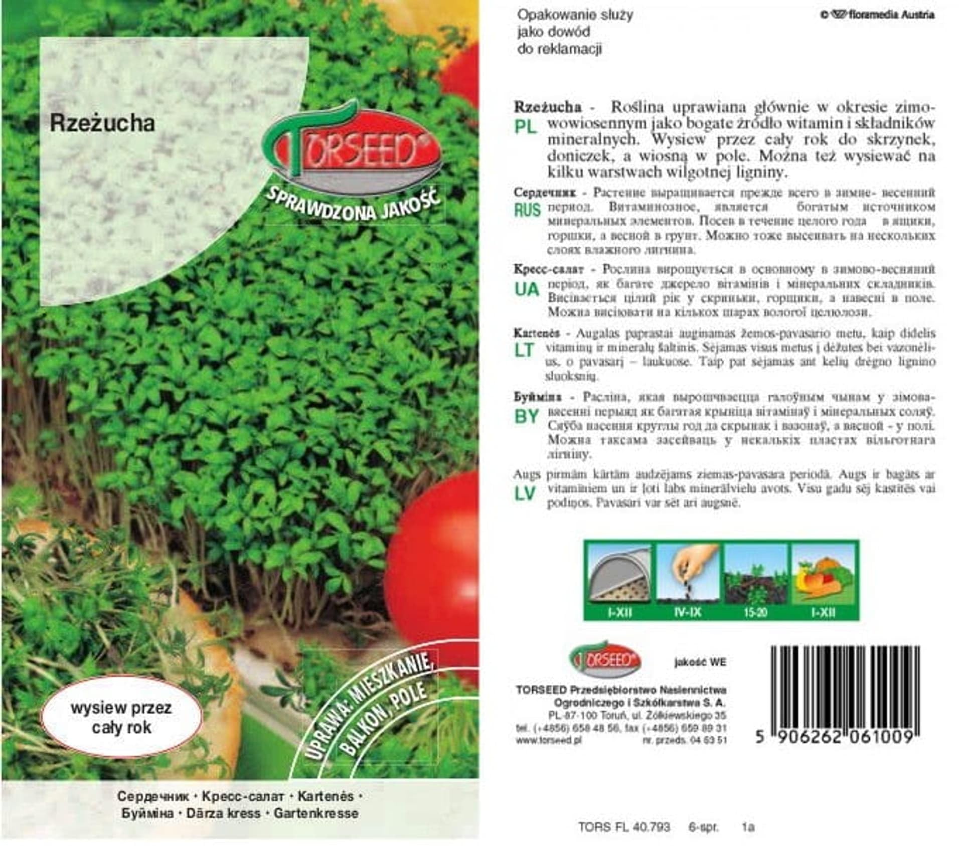 Bogata w składniki odżywcze rzeżucha ogrodowa Lepidium sativum – całoroczna uprawa wewnątrz i na zewnątrz, wszechstronne zastosowanie kulinarne, optymalne odstępy 15-20 cm (10 g)