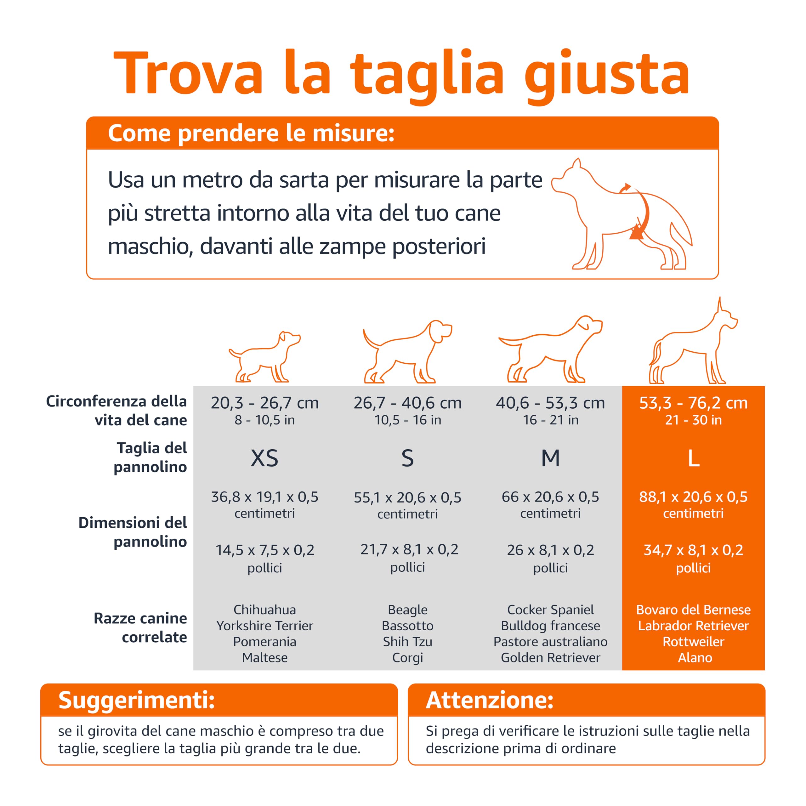 Amazon Basics Pannolini usa e getta per cani maschi, L, Confezione da 30, Bianco