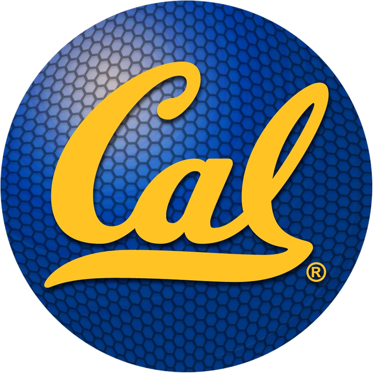 Get A Grip 11957 University of California Berkeley Polymer