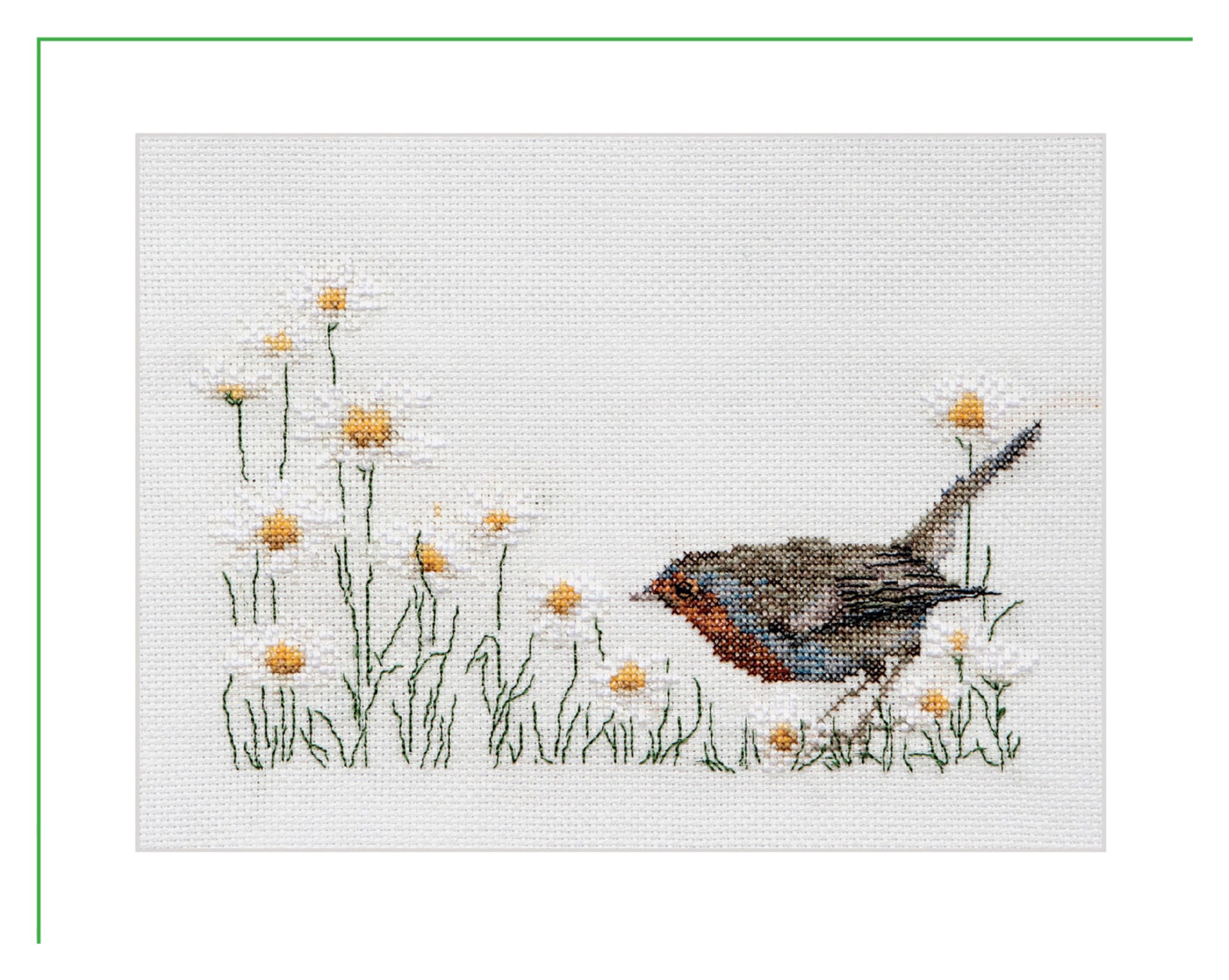 Thea Gouverneur, Counted Cross Stitch Kit, Summer Robin Bird, Aida, 16 Count, Embroidery Kit for Adults