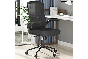 Ergonomic High Back Desk Chair