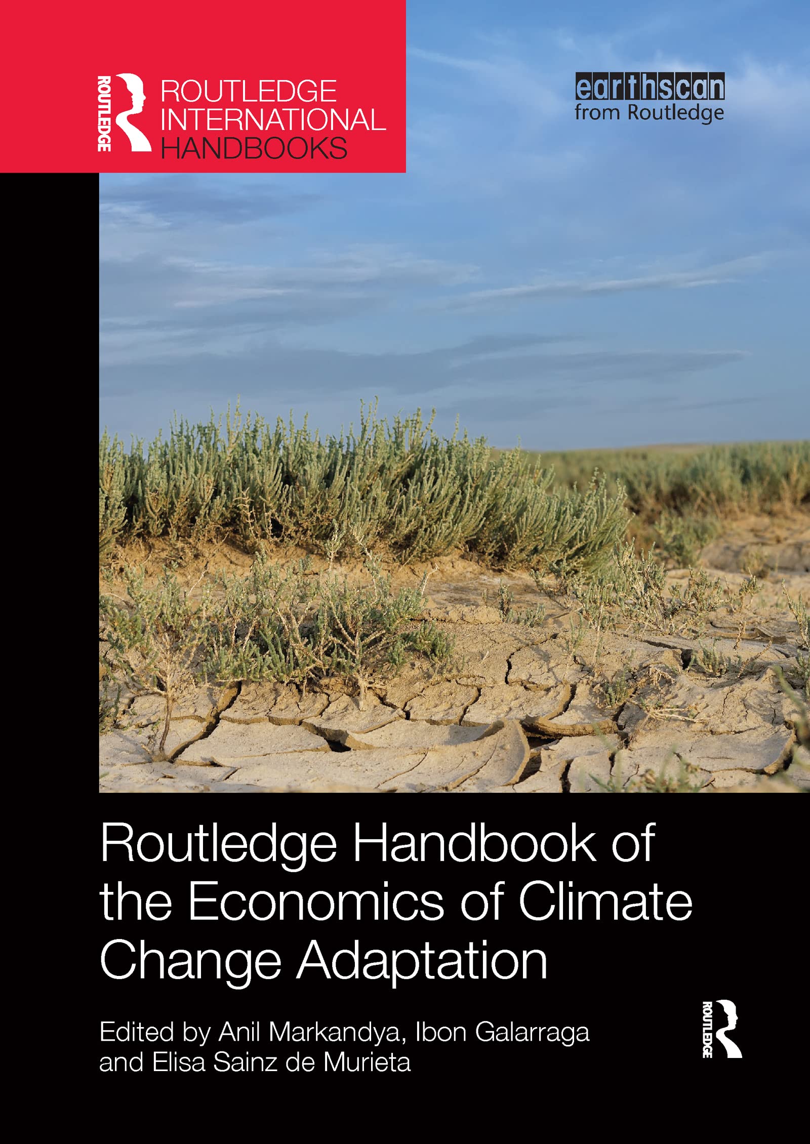 Routledge Handbook of the Economics of Climate Change Adaptation (Routledge Environment and Sustainability Handbooks)
