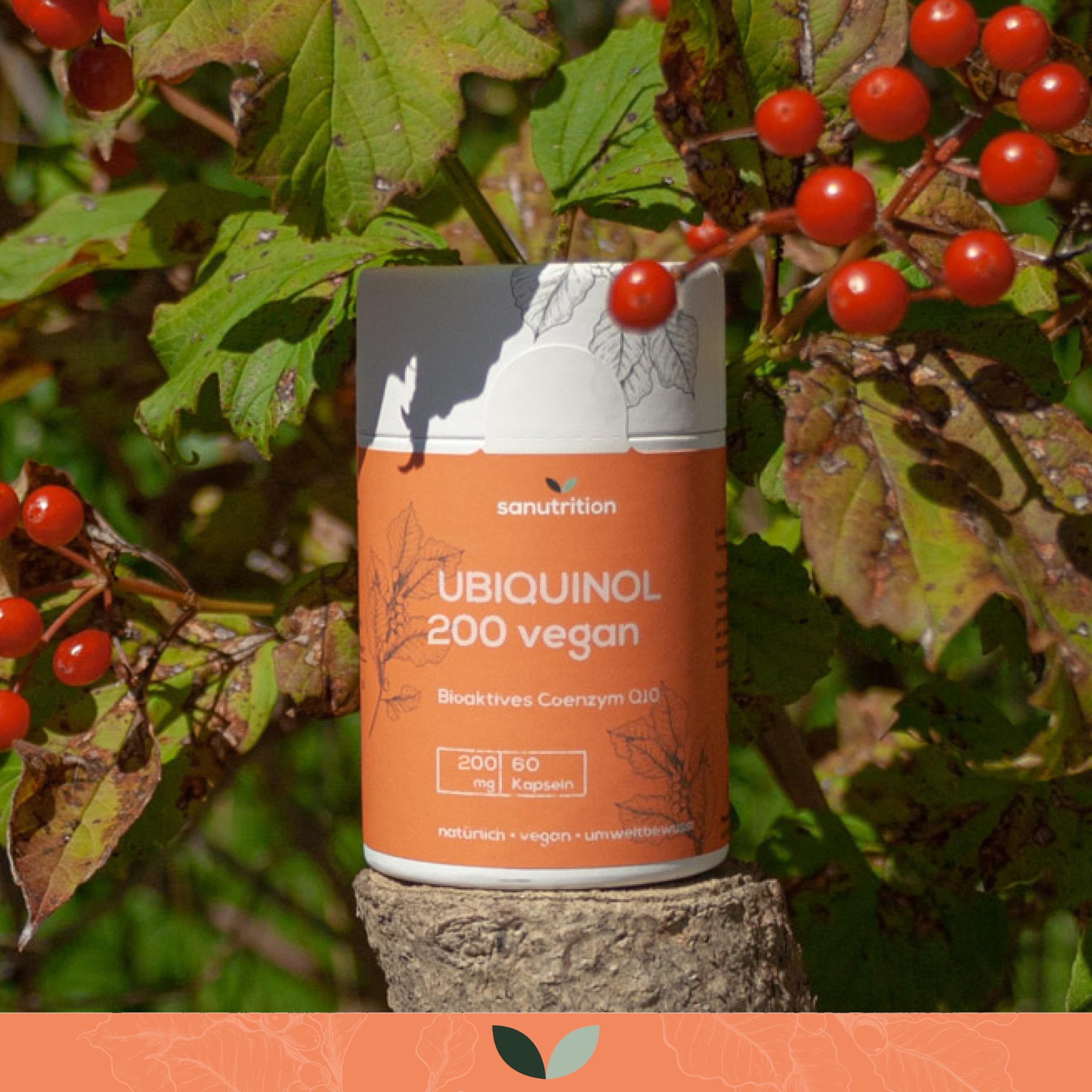 Ubiquinolo 200 mg | 60 capsule | Coenzima Q10 bioattivo | vegano | Imballaggio in carta ecologica al 100%