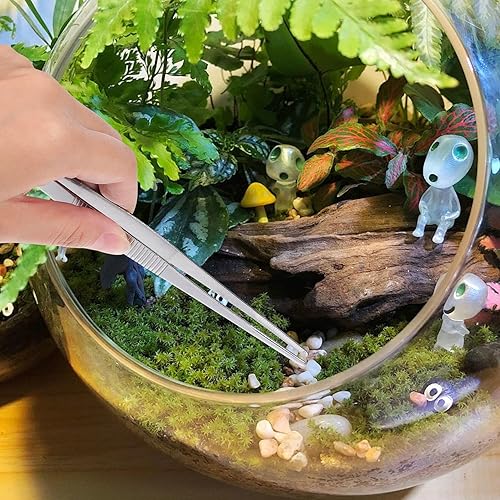 Miniatura 6 de 5pcs Stainless Steel Succulent Gardening Tweezers Lightweight Pointed and Curved Tips for DIY Moss Micro Landscape Planting Portable Gardening