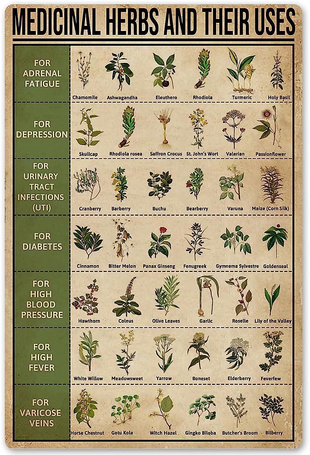 Kueprae Women's A1286 Medicinal Herbs And Their Uses Posters Metal Sign Room Decor Metal Signs Decor Gift For Men 8X12 Inch