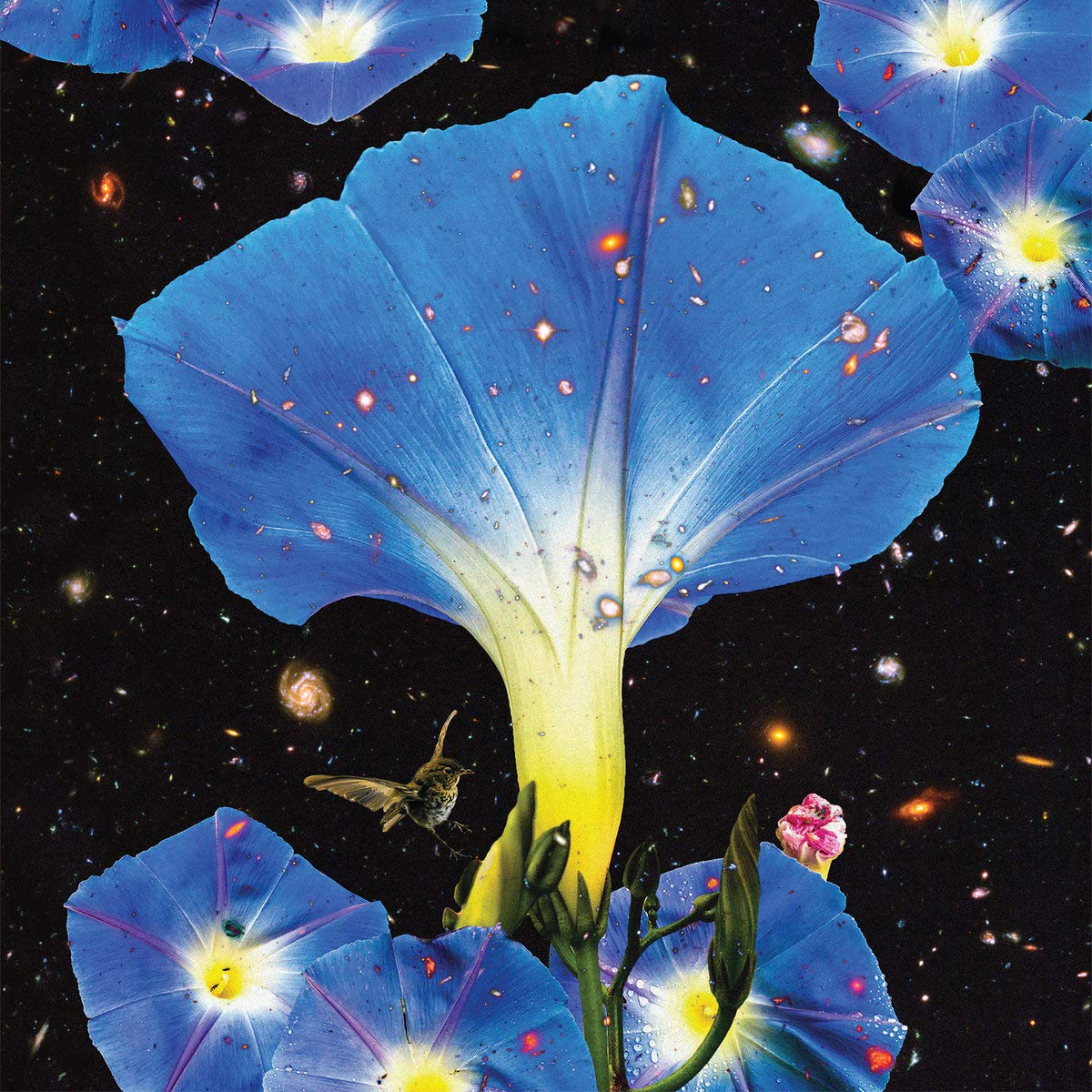Nighttime Birds And Morning Stars [VINYL]