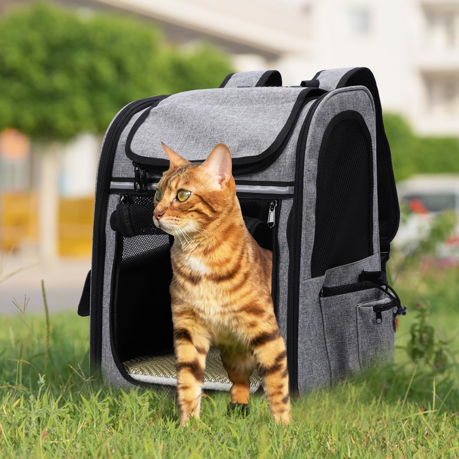 Sac Transport Chat,Sac à Dos Extensible pour Chat pour Chien jusqu'à 8 kg-avec Laisse de sécurité intérieure et Tapis pour Animaux de Compagnie-Sac de Transport pour Chat (Max.8KG)