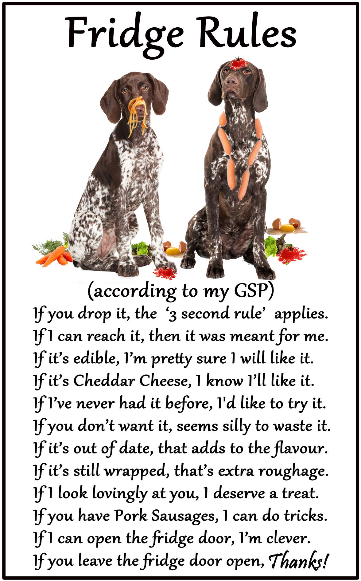 Fridge Magnets White German Shorthaired Pointer Gift - Fridge Rules - Large Fun Flexible Fridge Magnet- Size 16Cms X 10 Cms (Approx. 6" X4")
