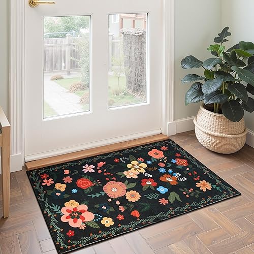 GRANNY SAYS Front Door Mat Indoor Entrance, Indoor Doormat, 2x3