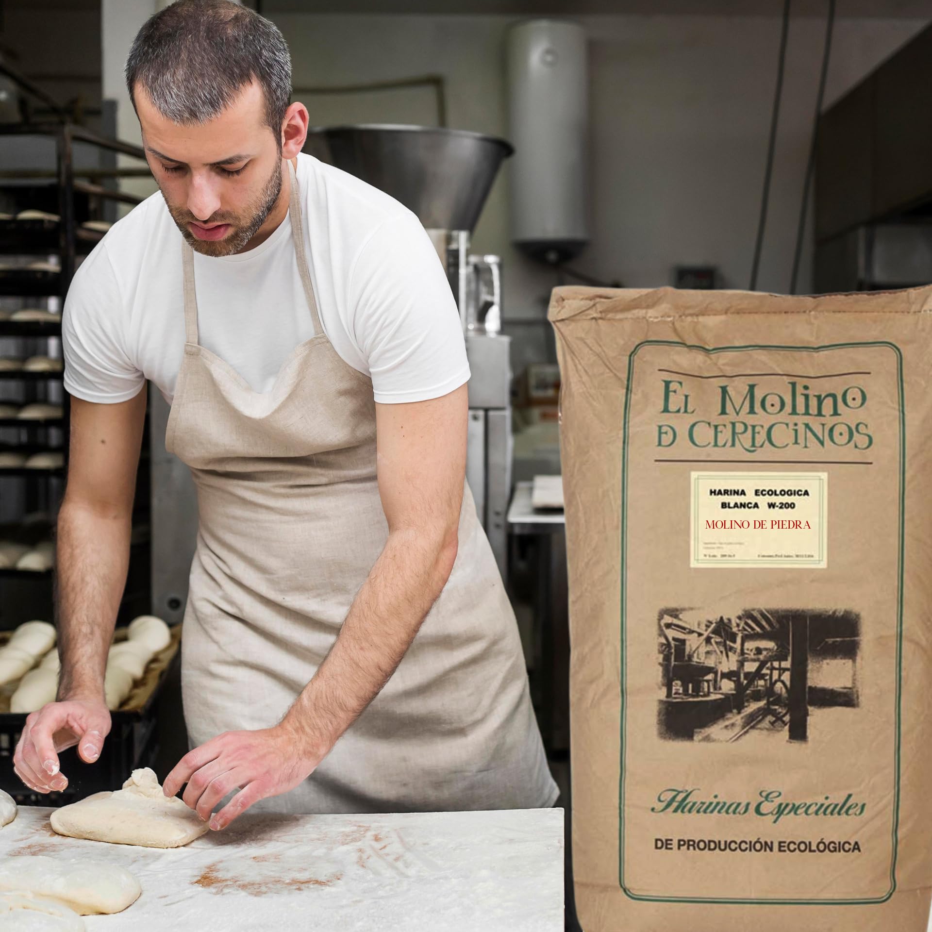 Harina de Trigo Ecológica Blanca | Molida En Piedra | Harina De Fuerza Panificadora W-200, Alta en Fibra, con Todo su Germen | Harina Ecológica Ideal para Pizzas, Hogazas Masas Madres y Más | 25 Kg