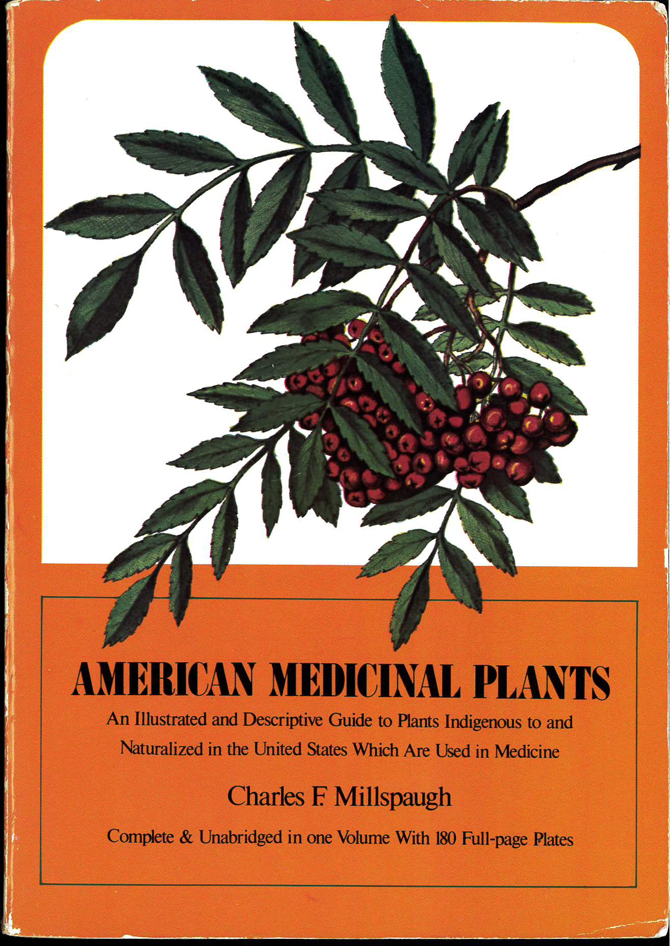 American Medicinal Plants: An Illustrated and Descriptive Guide to Plants Indigenous to and Naturalized in the United States Which Are Used in Medicine