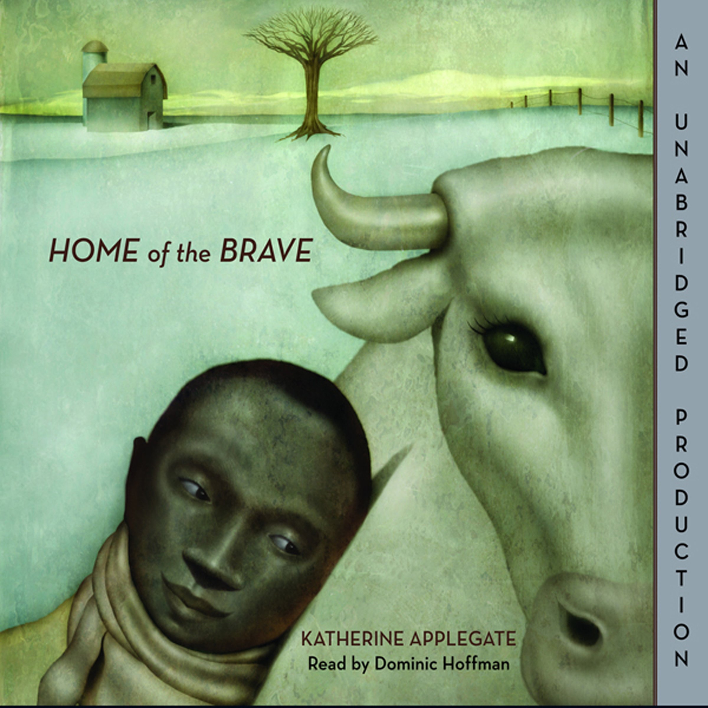 Cover art for Home of the Brave