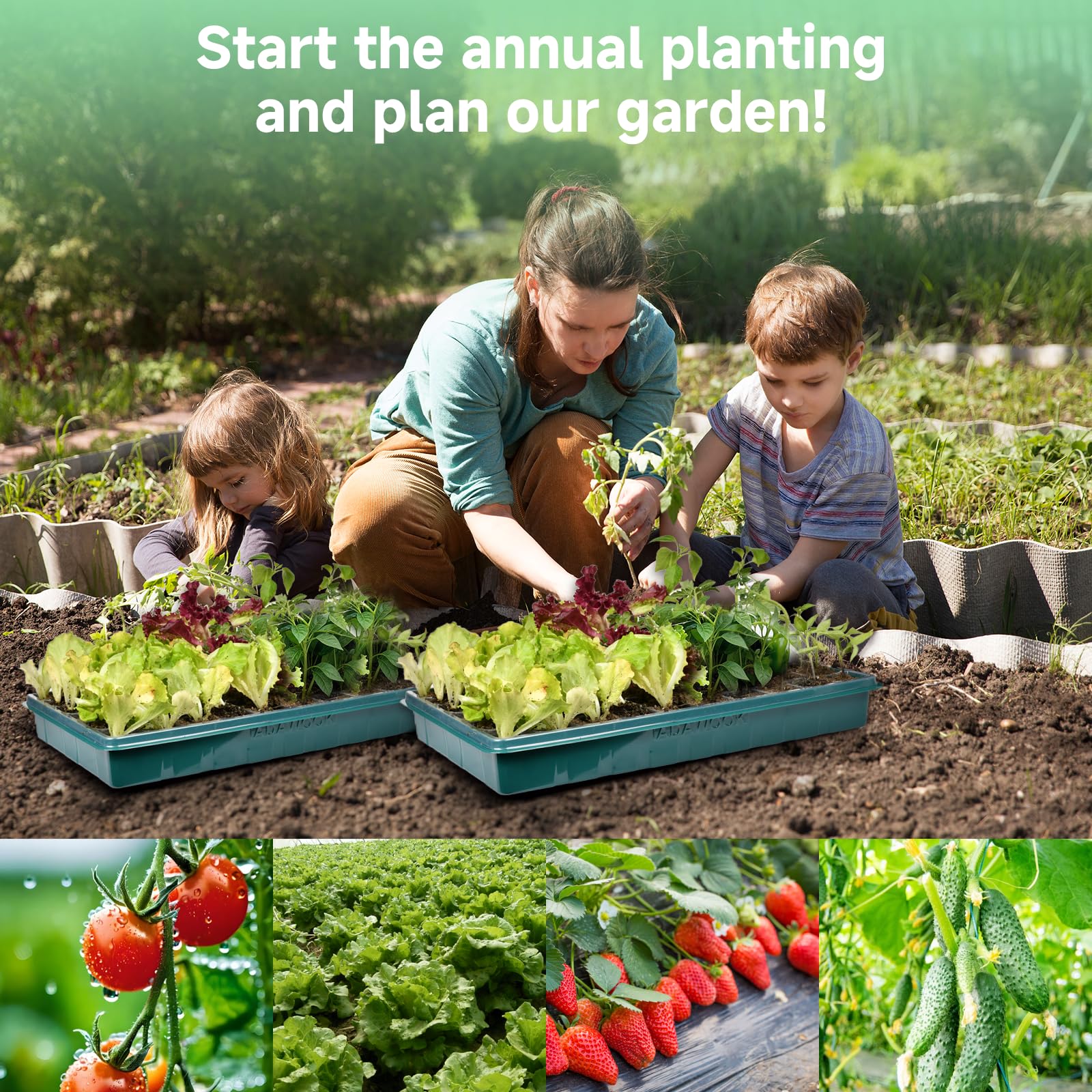 Bandejas de inicio de semillas con luces de cultivo, luces de cultivo para kit de inicio de semillas, juego de tintado, kit de cultivo de plantas de interior para jardineros, kits de bandejas de