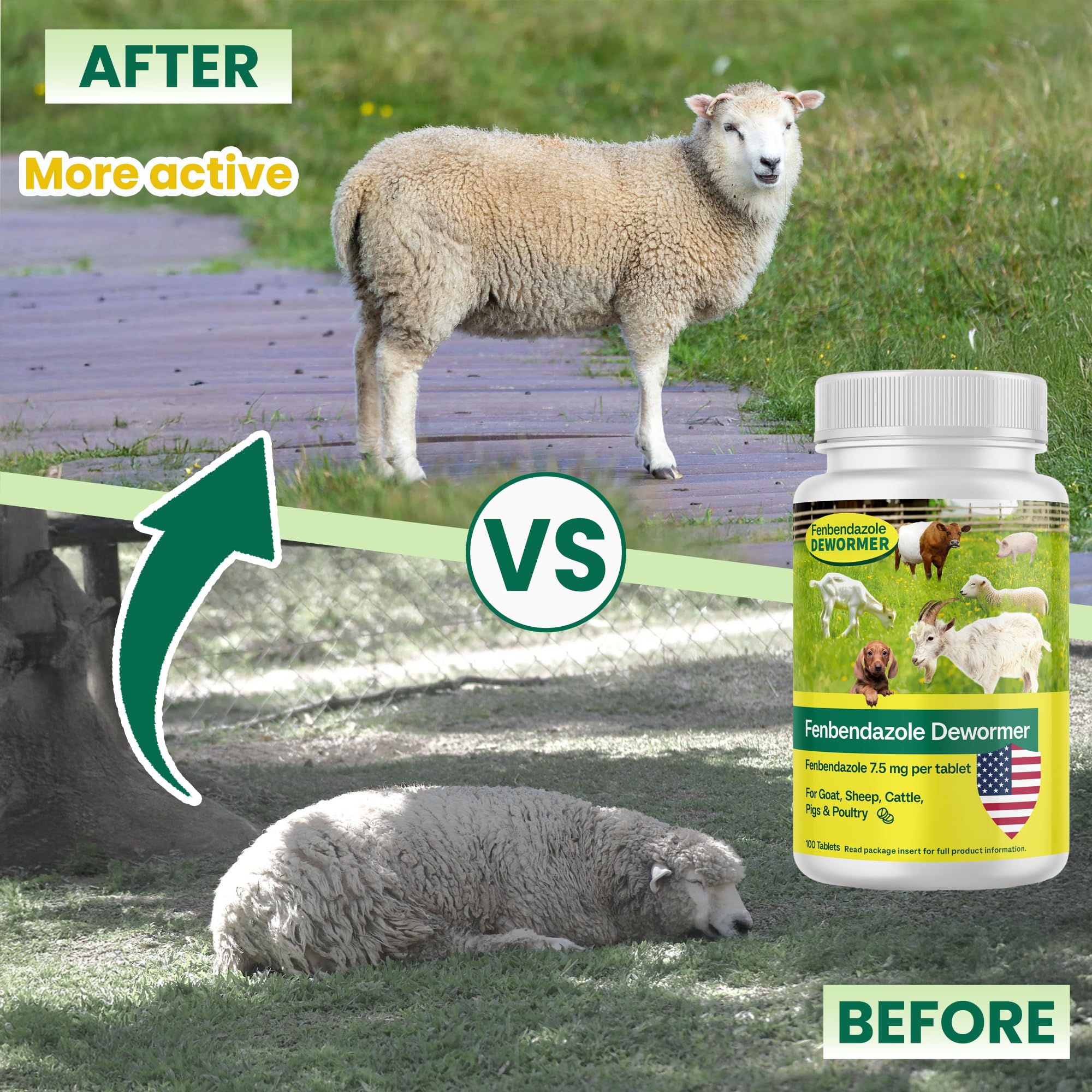 Fenbendazole for Goats, Sheep, Cattle, Poultry & More, 100 Tablets — view 3