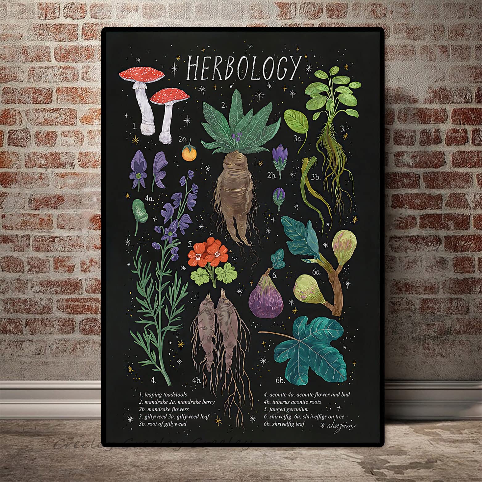Herbology Harry Potter Poster ubicaciondepersonas.cdmx.gob.mx