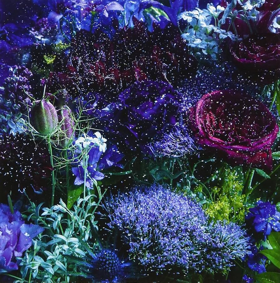 #Aimer #あなたに出会わなければ〜夏雪冬花〜 #初回盤 #新品 #未開封 Amazon.co.jp: あなたに出会わなければ~夏雪冬花~/星屑ビーナス