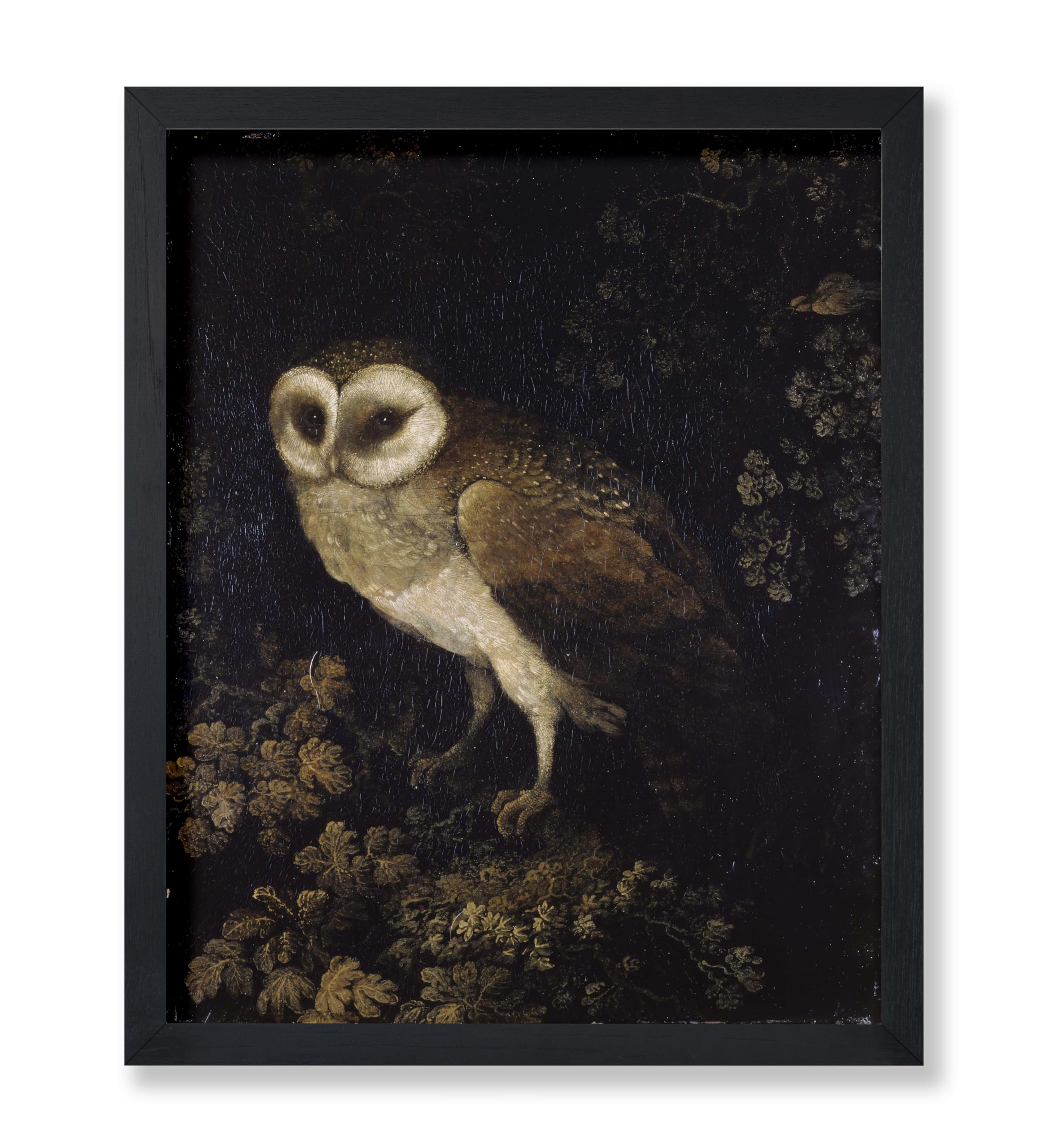 Poster Master Vintage Owl Poster - Retro Owl Painting Print - Moody Art - Bird Art - Great Gift for Men, Women, Animal Lover - Perfect Decor for