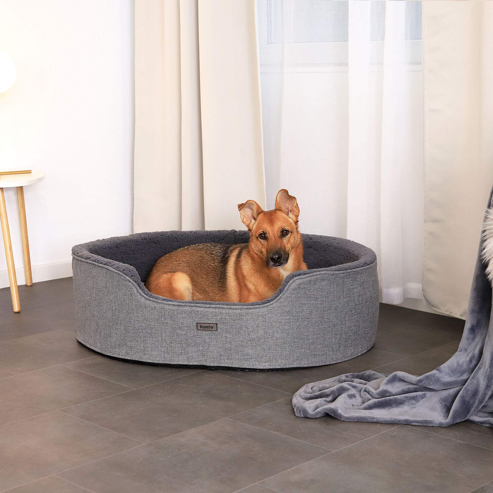 lionto Cuccia Cane con Cuscino Reversibile, Letto Cane, 92 x 72 cm, Grigio