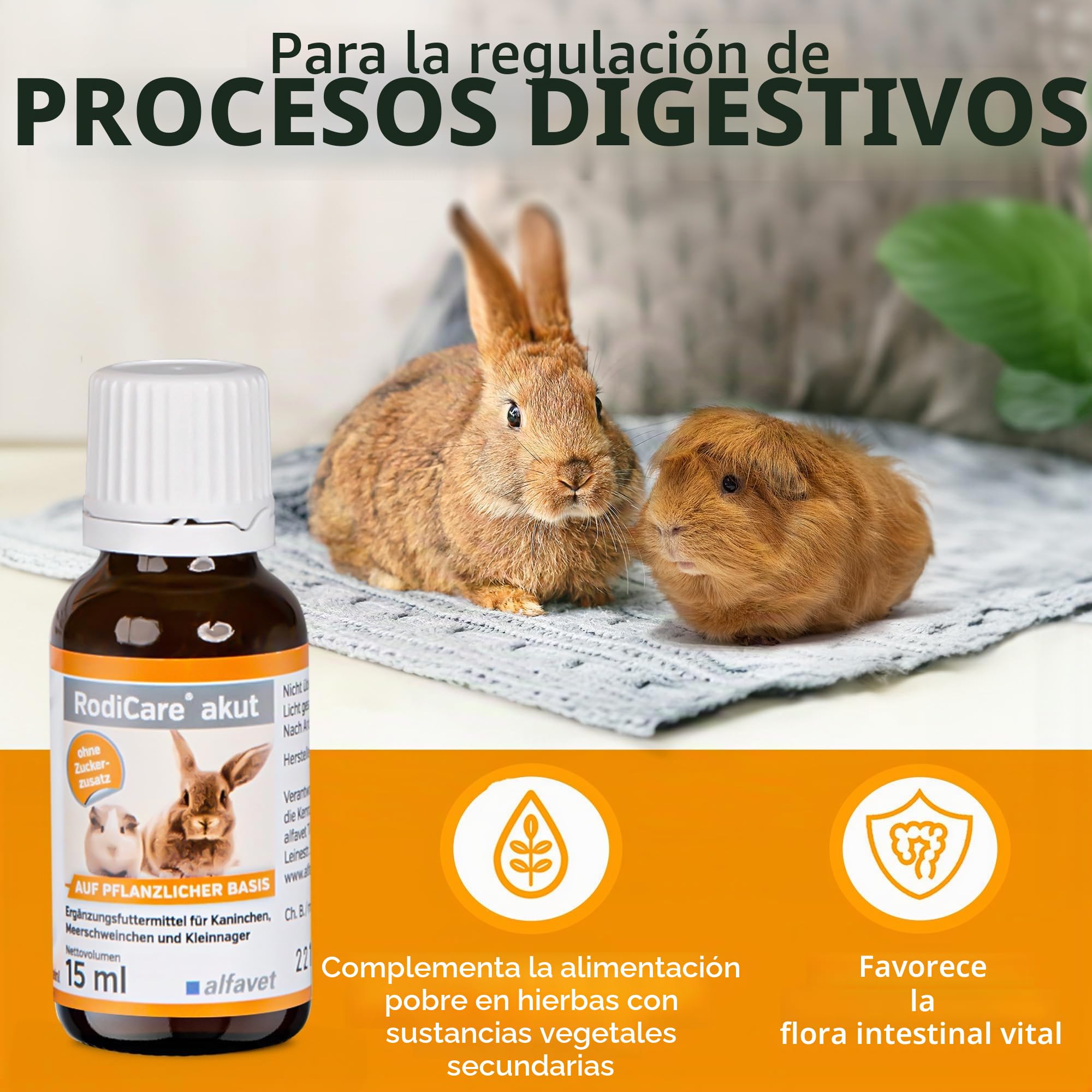 Alfavet RodiCare akut - 15 ml - Suplemento alimenticio para Regular la digestión en Conejos, cobayas y pequeños roedores - con jeringa dosificadora