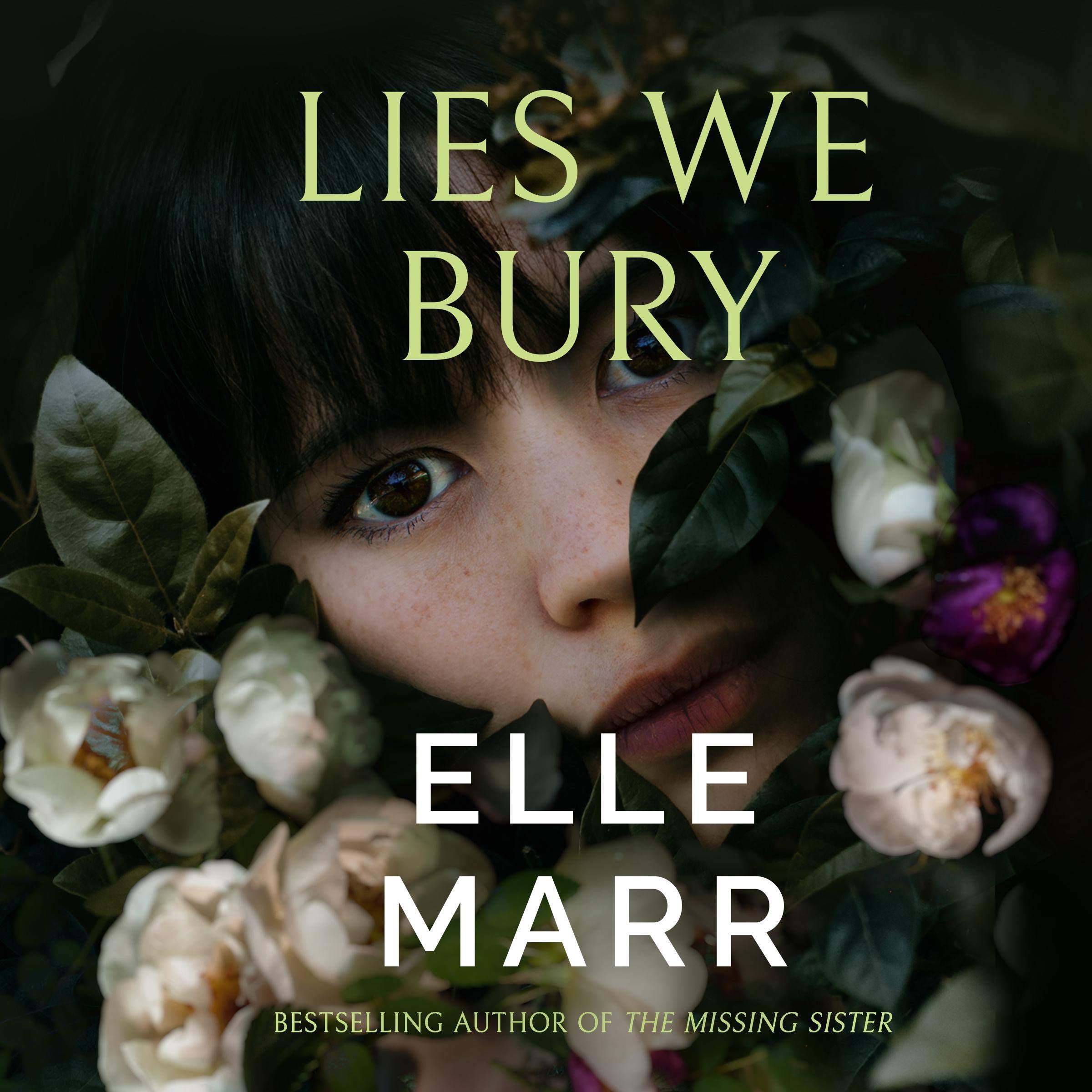 Cover art for Lies We Bury