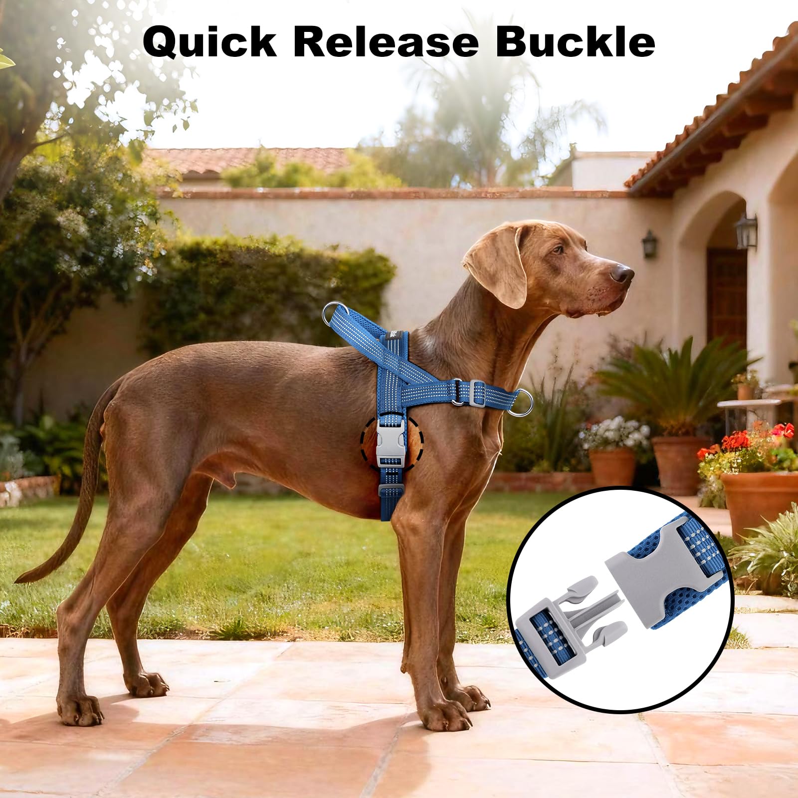 No Pull Dog Harness with Handle, Adjustable Soft Mesh Padded Reflective Walking Harness with Front Clip for Small Medium Large Dogs – Quick Fit No Escape for Training and Hiking (Blue, XL) - image 6
