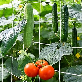 Ranknetz für Kletterpflanzen Pflanzennetz Ranknetz mit 15cm Maschenweite Grow Netz Gartennetz für Spalier Rankgitter Wachstum von Tomaten Gurken Rankhilfe (1.5m x 9m)