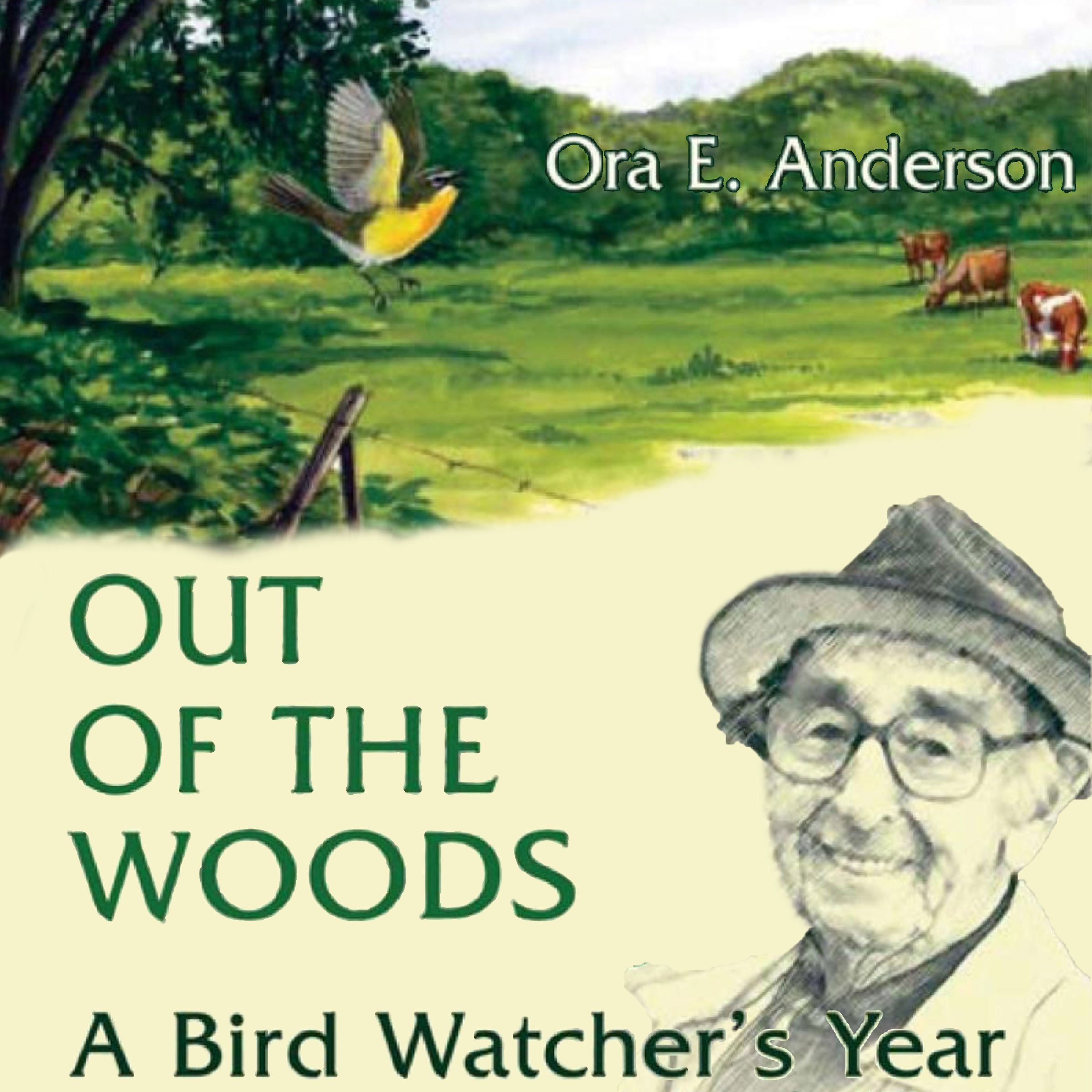 Out of the Woods: A Bird Watcher's Year