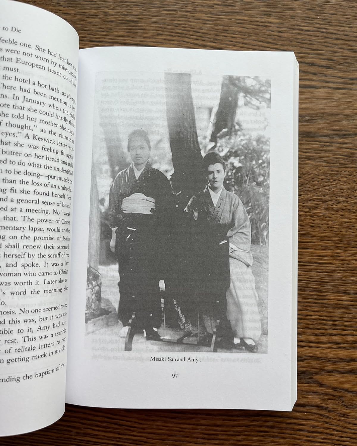 A Chance to Die: The Life and Legacy of Amy Carmichael - Image 6