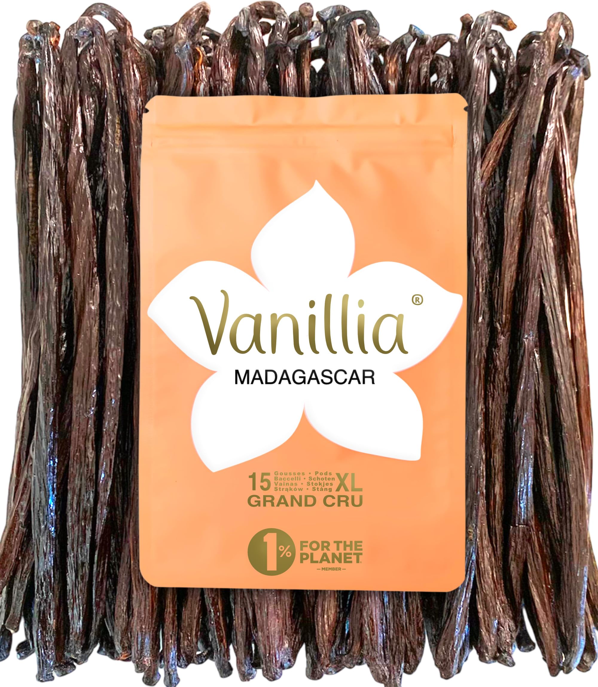 VANILLIA • 15 XL-Bourbon-Vanilleschoten aus Madagaskar • Grand-Cru-Qualität 2025 • Vanilleschoten XL 15/18cm • Vanille aus Madagaskar • Beutel FreshZIP