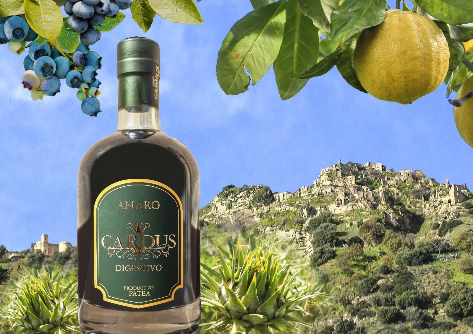 Patea, Amaro Digestivo Cardus, Licor con Cardo Salvaje, Bergamota y Arándanos Vol 28%, 70 cl