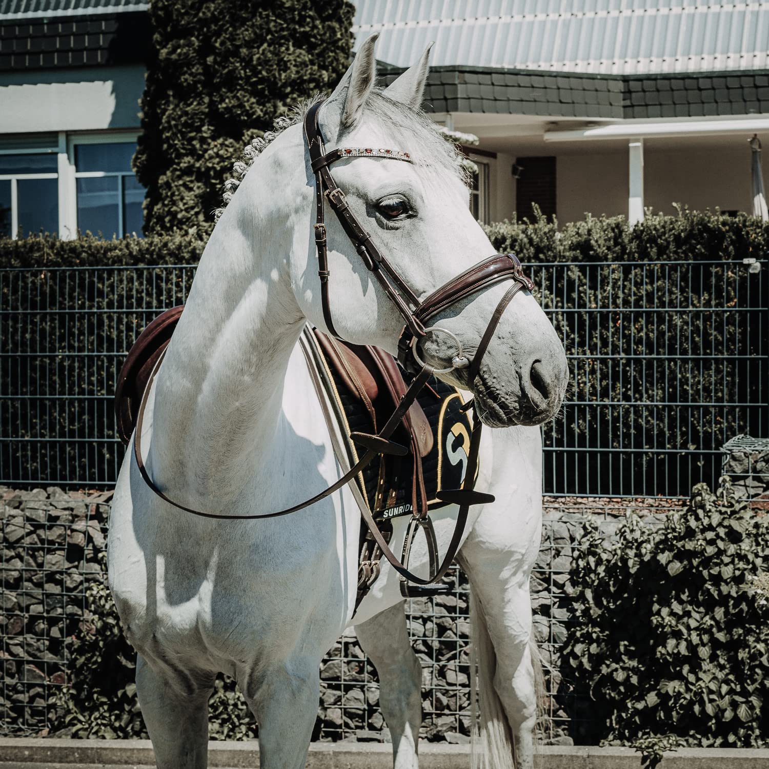 SUNRIDE Rênes en Cuir séparables sans Barrettes pour Chevaux, en Cuir véritable Souple (Full 280 cm, Marron)