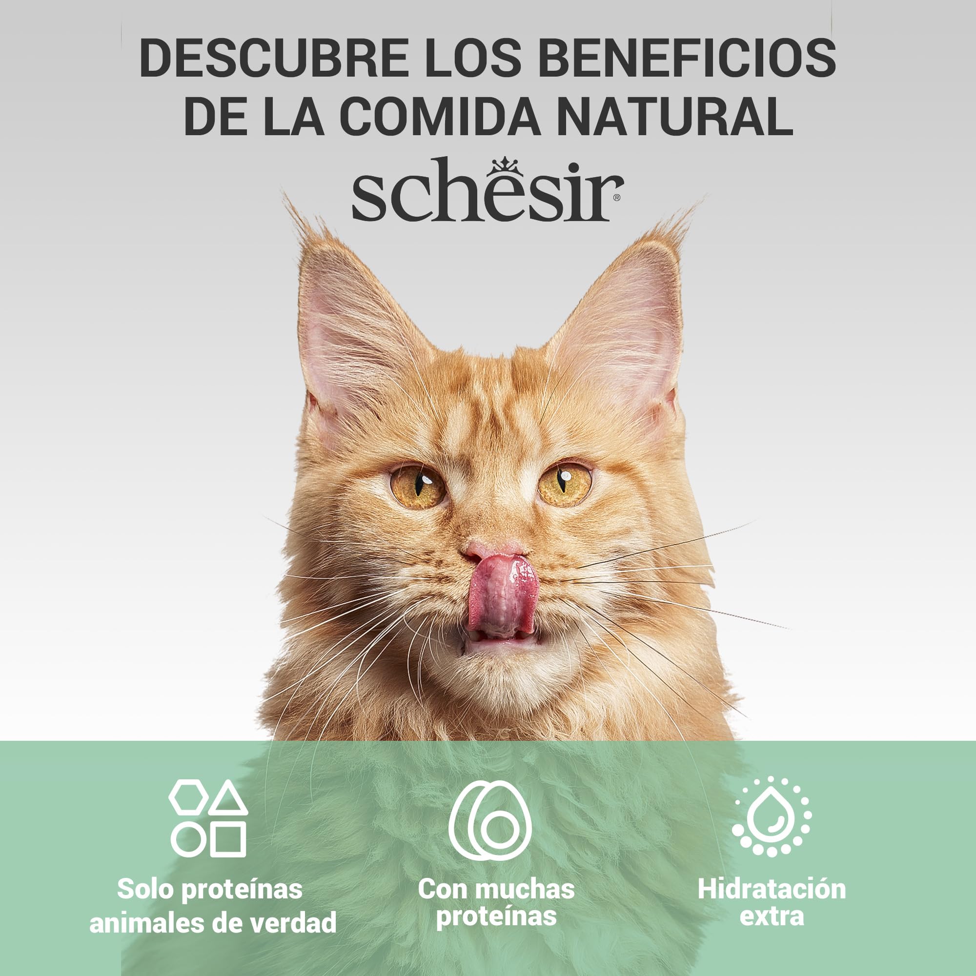 Schesir, Sopa con Filetes de Pollo con Zanahorias y Calabaza, Cibo Húmedo Complementario para Gatos, Receta Original, 100% Natural, Cruelty-Free, 12 x 40g