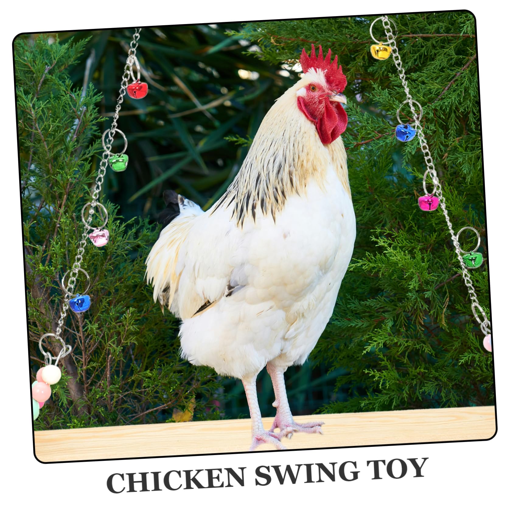 TOYANDONA Columpio de Madera para y Aves Perchero Resistente para Entrenamiento y Descanso Juguete Duradero para Gallineros y Pequeños