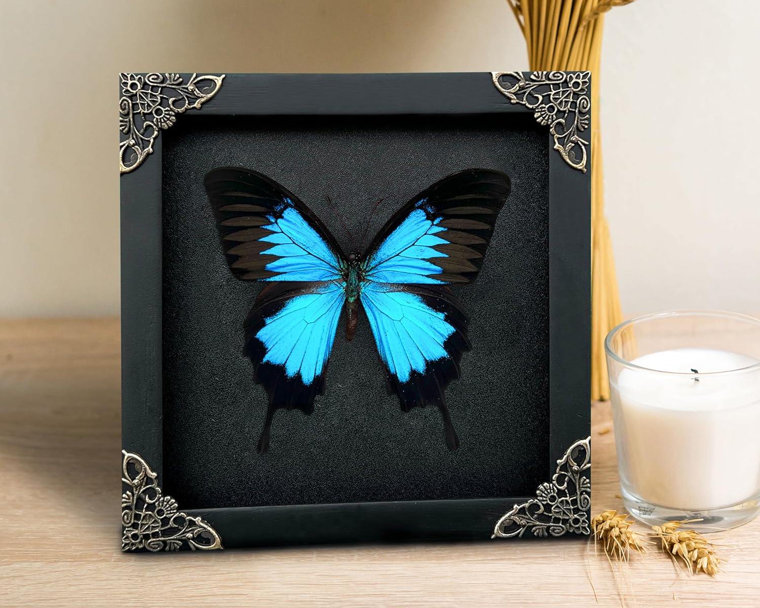 メーカー不明　16インチ グーバイク】静岡県・「zzr 250」のバイク検索結果一覧(151～180件)