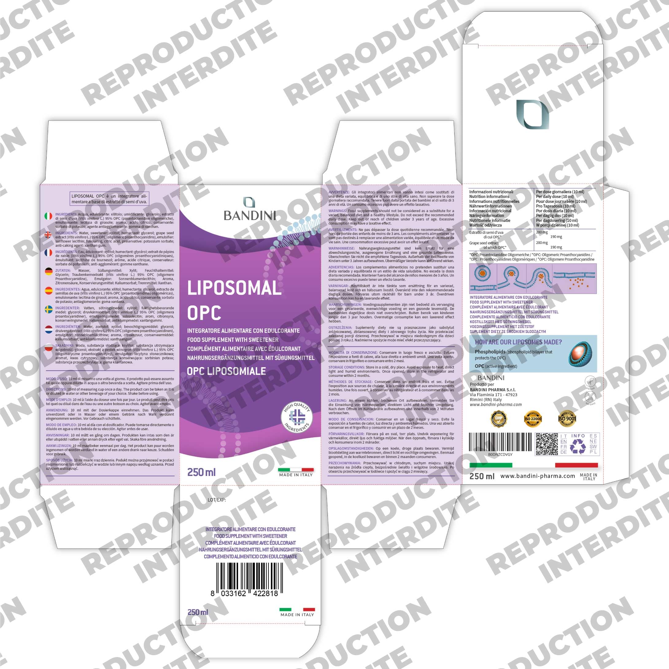 Bandini® OPC Liposomal Liquide 250ml - Extrait de pépins de raisin 95% OPC (200mg par dose) - Absorption optimale avec technologie liposomale - Supplément antioxydant naturel puissant - Pour 25 jours