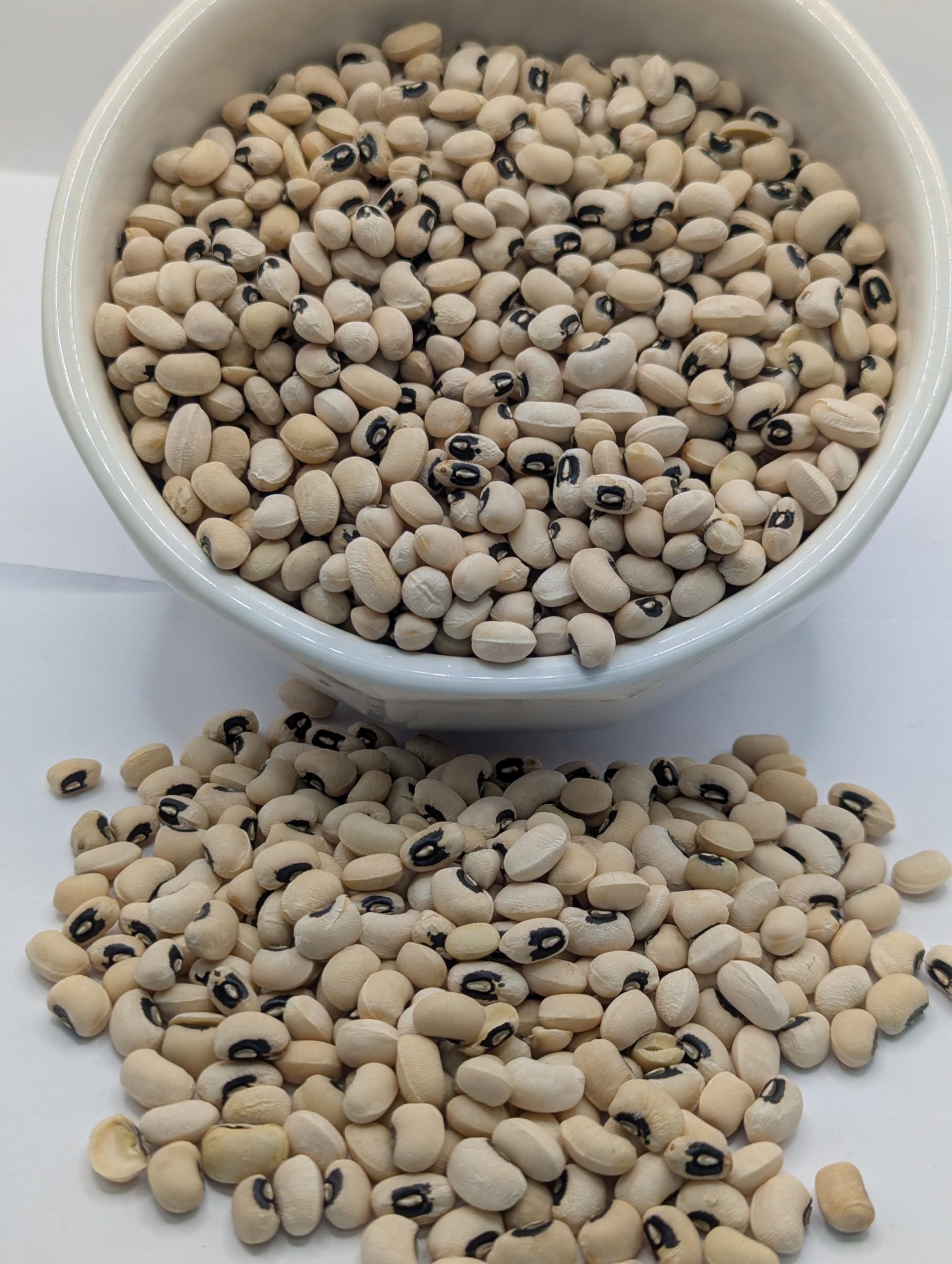 High Plains Blackeye Peas | 10 Pound Bag | Farm-Fresh | Non-GMO Verified | High Protein & Fiber Source | Dry Beans & Peas | Directly Sourced from Local Farmers