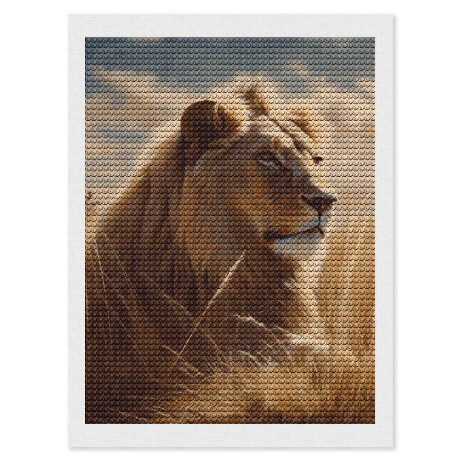 NONHAI Diamond Painting Kits for Adults - DIY Diamond Art Kits for Beginners - Full 5D Paint Drill Diamond Dots Paintings- Prairie Lion Diamonds Pictures Gem Art and Craft Wall Decor 12"x16"