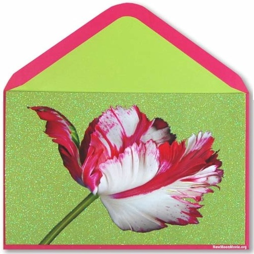 E-Cards For Every Occasion - App on Amazon Appstore