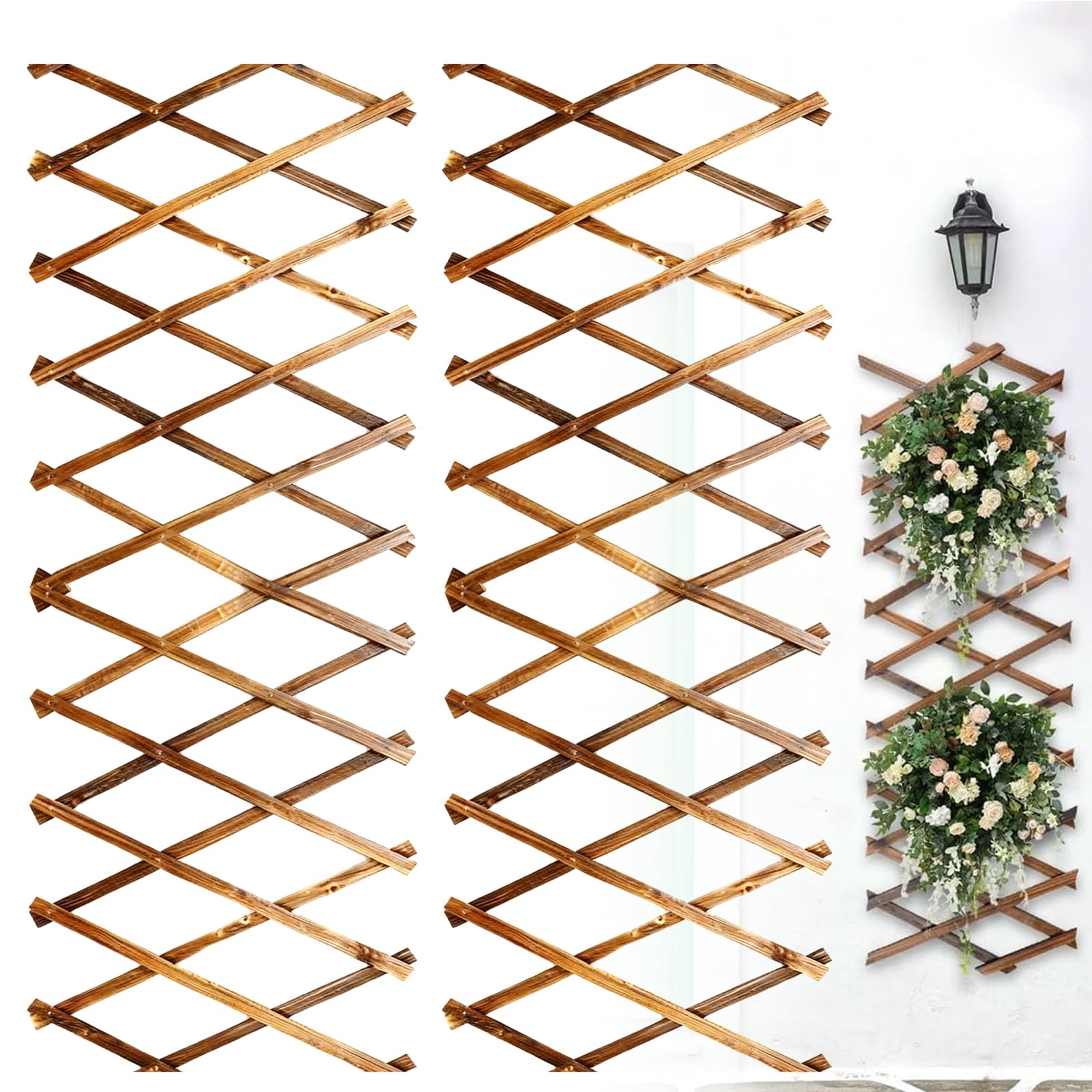 Treillis extensibles pour plantes de jardin et décoration murale terrasse
