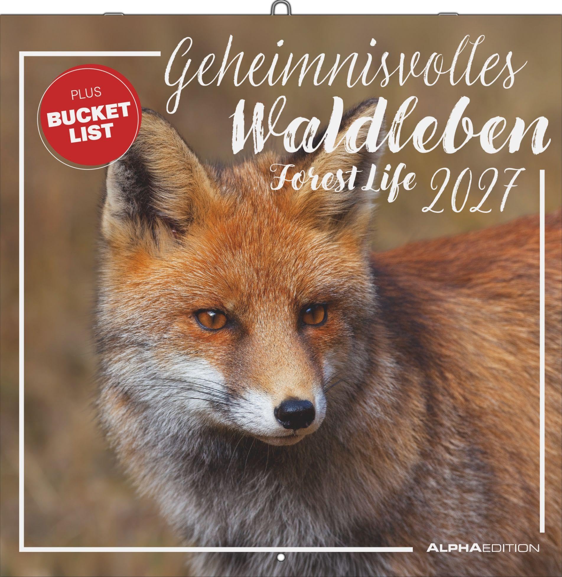Geheimnisvolles Waldleben 2027: Wandkalender 30x30 cm (30x60 cm geöffnet) mit Notizkalendarium, 12 Waldtier-Fotografien und Bucket-List