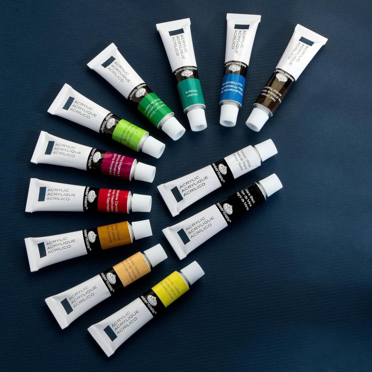 Acrylic Paint Set 12 Colors + 2 Brushes