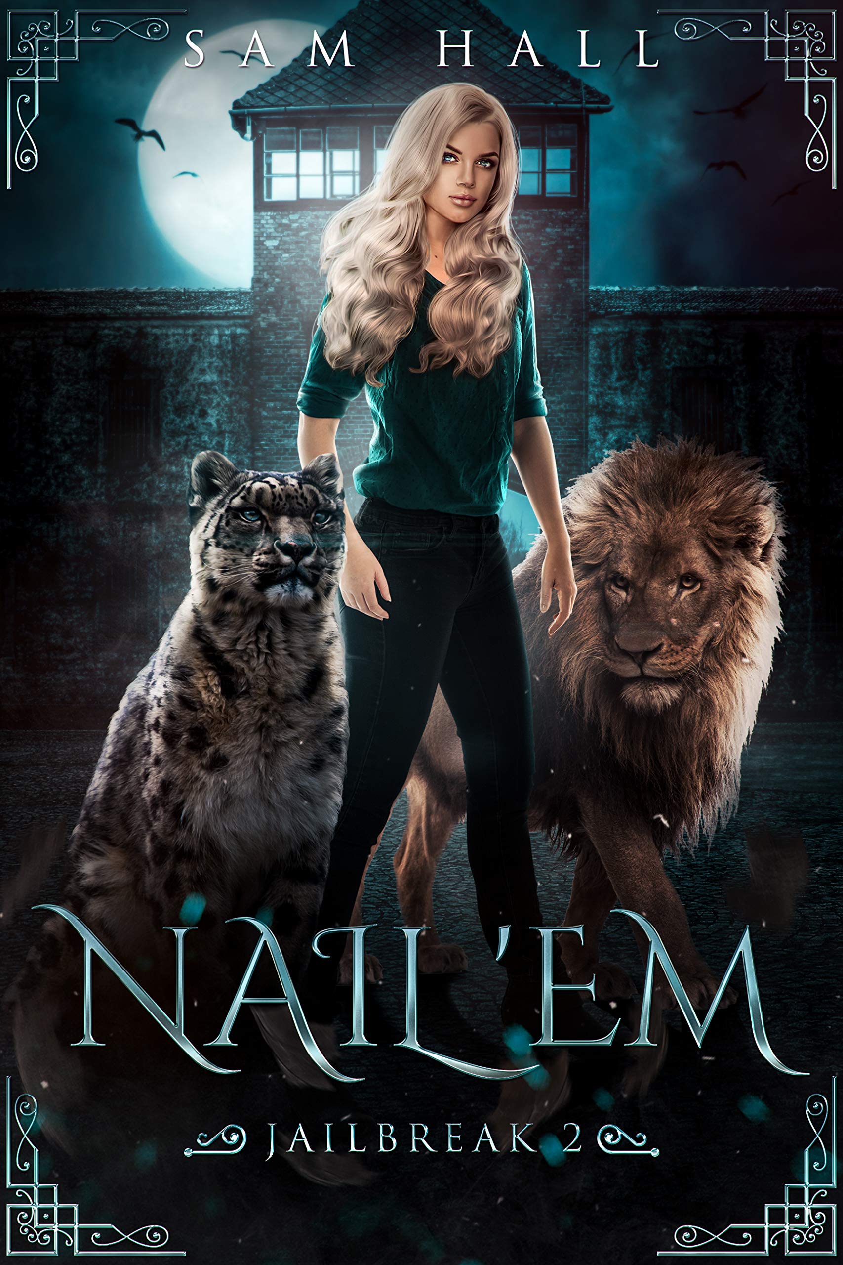 Cover of Nail 'Em