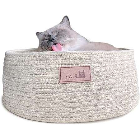 puppy scratching bed