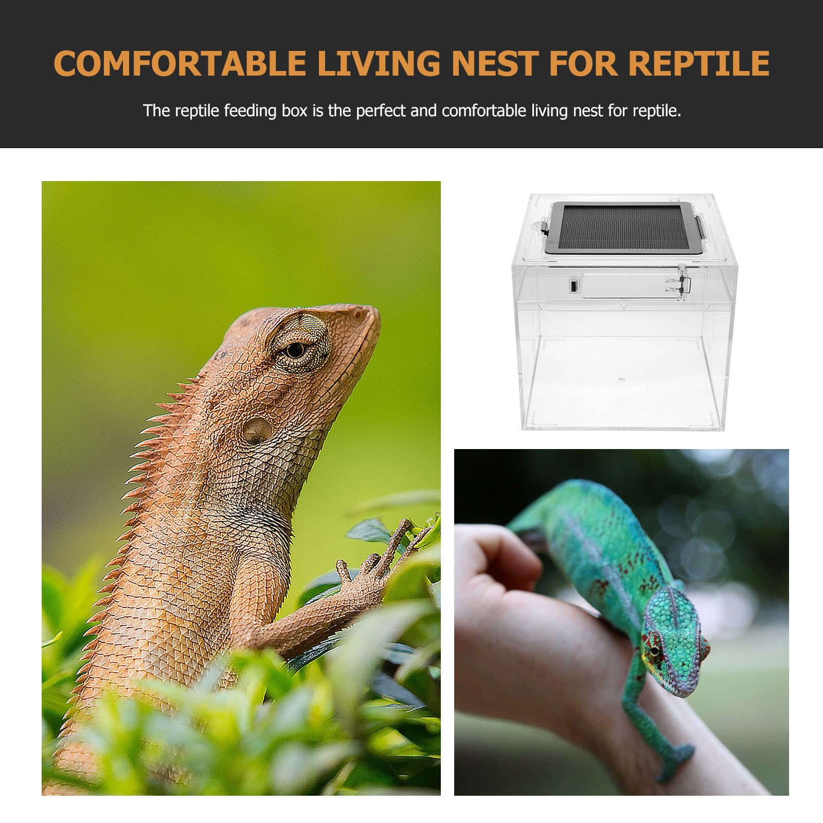Terrario per Rettili in PC Leggero Sistema di Ventilazione per Tartarughe e Ragni, Contenitore per Allevamento da Esterno Resistente e Pratico