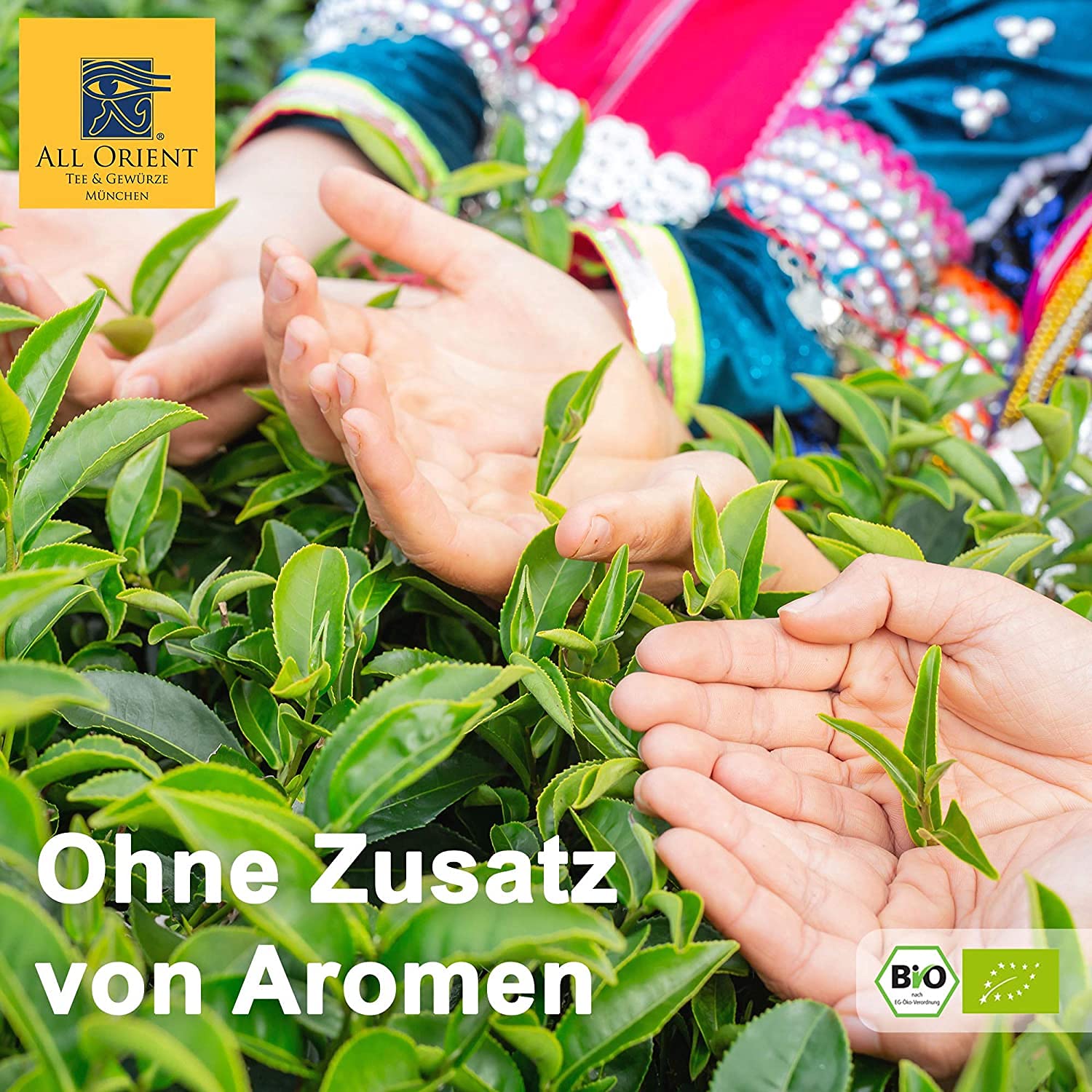 All Orient BIO Marokko Minztee | 1000g | Grüner Tee lose | Pfefferminztee | Grünteemischung mit Nana-Minze | Naturbelassen | Ohne Zusatz von Aromen
