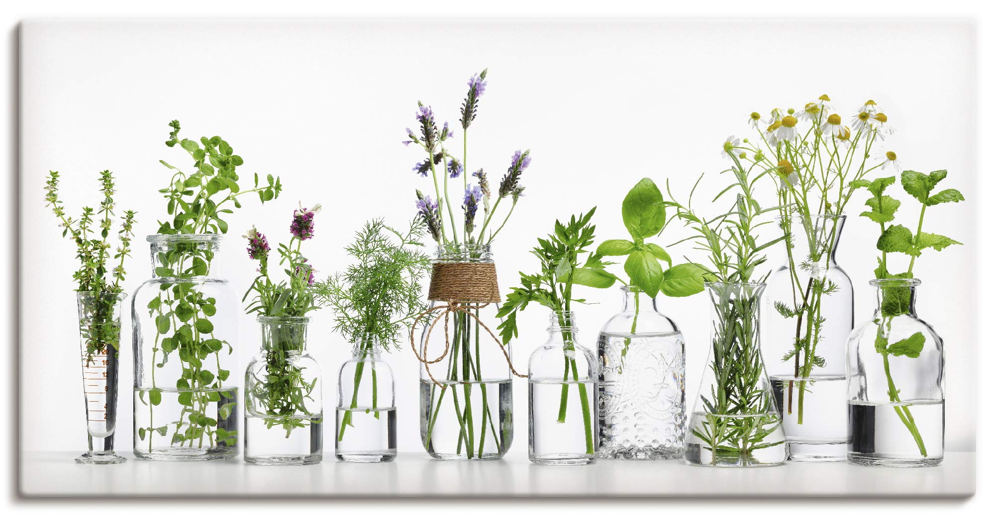ARTLAND Wanddeko Leinwand Bilder Wandbild 100x50 cm Querformat Modern Küchenbilder Pflanzen Kräuter Blumen Gewürze Grün H9KE