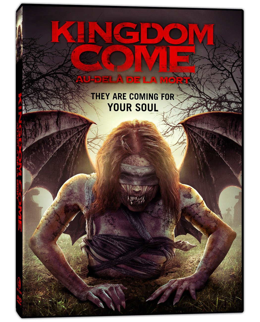 Kingdom Come / Au-delà de la mort (Bilingual) [DVD]
