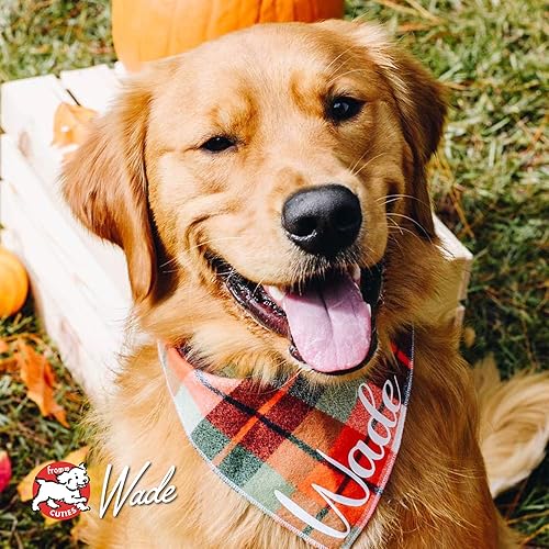 Miniatura 9 de Fromm Four-Star Nutritionals - Alimento seco para perros con diseño de pollo au Frommage - Alimento seco prémium para perros - Receta de pollo - 12