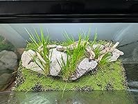 Review Image by Bailey Kiser Bailey Kiser